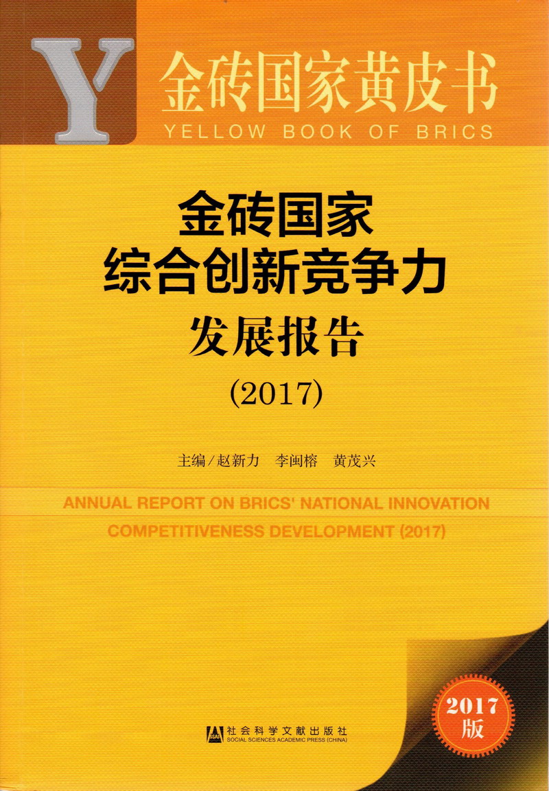 啊啊啊好粗插进来视频在线播放金砖国家综合创新竞争力发展报告（2017）